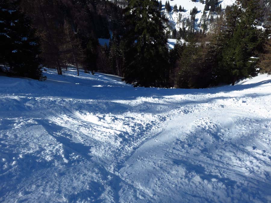 IMG_0483-Steilhang-zum-Aufstiegsweg-bruennsteinschanze-skitour