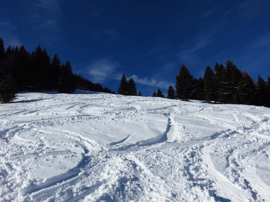 IMG_0455-bruennsteinschanze-skitour