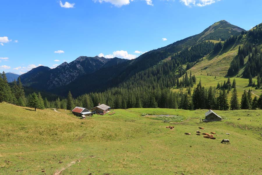 IMG_0457-enningalm-bruenstl-zunder-felder-kopf