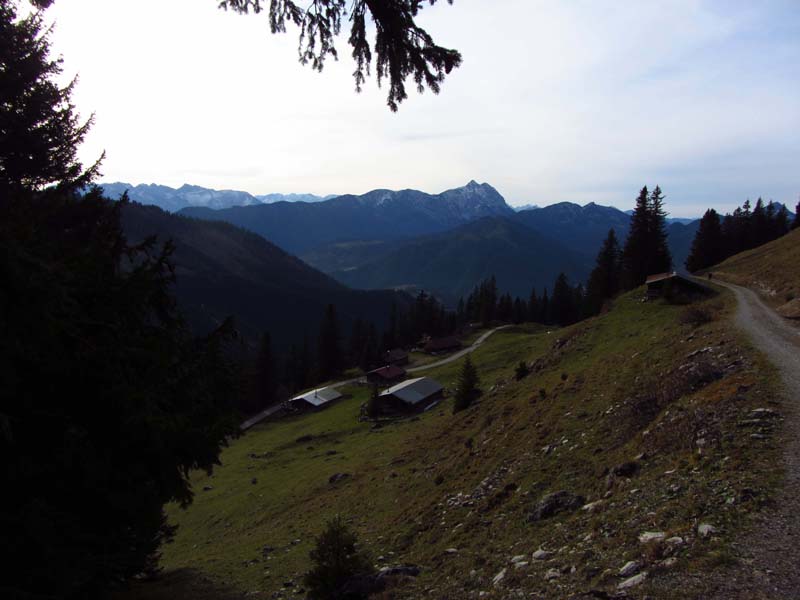 IMG_7485-Steinkaseralm-Hinteres