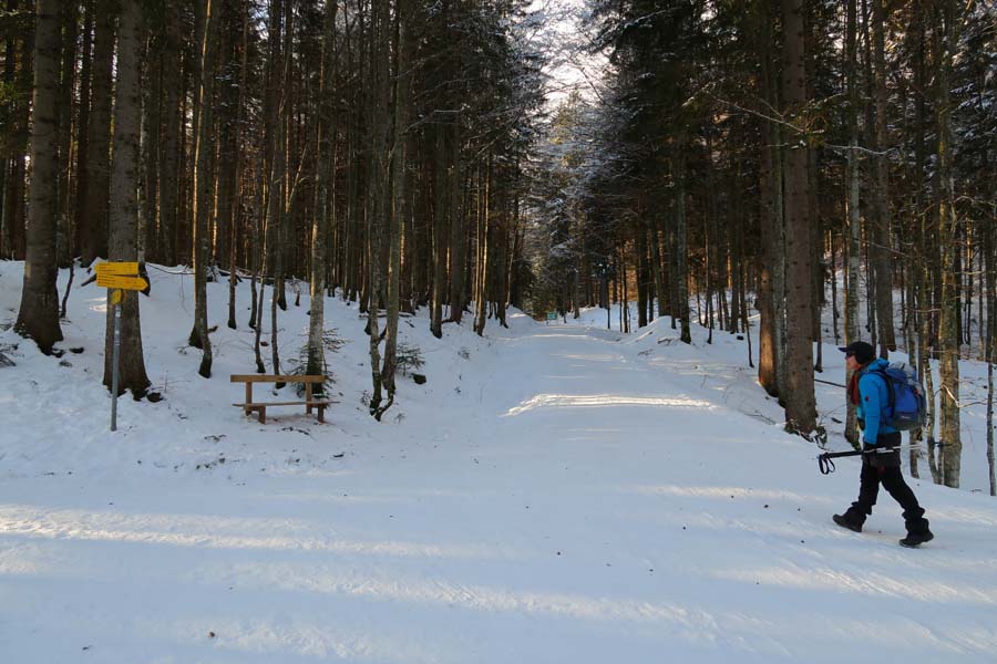 IMG_0263-ende-der-piste-hirschberg-kratzer