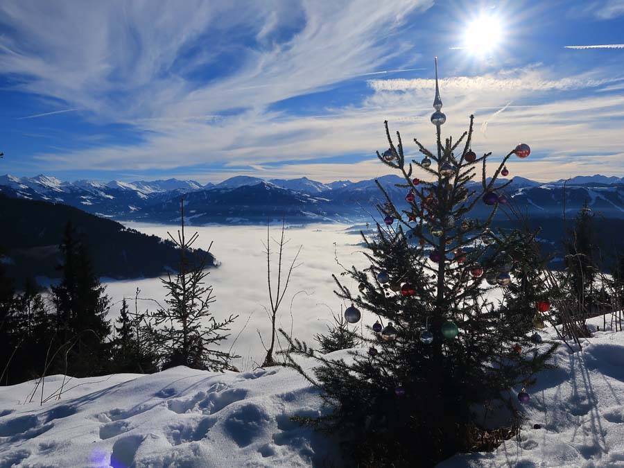 IMG_1726-Weihnachtsbaum-Kitzbueheler-Alpen-Hohe-Tauern-juffinger-joechl-schneeschuh