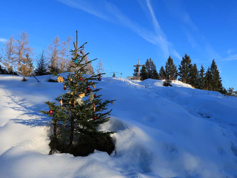 IMG_1735-Weihnachtsbaum-juffinger-joechl-schneeschuh