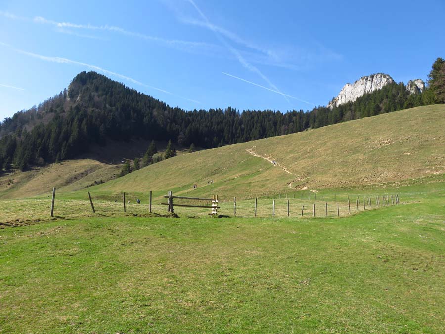 IMG_5413-heuberg-wasserwand