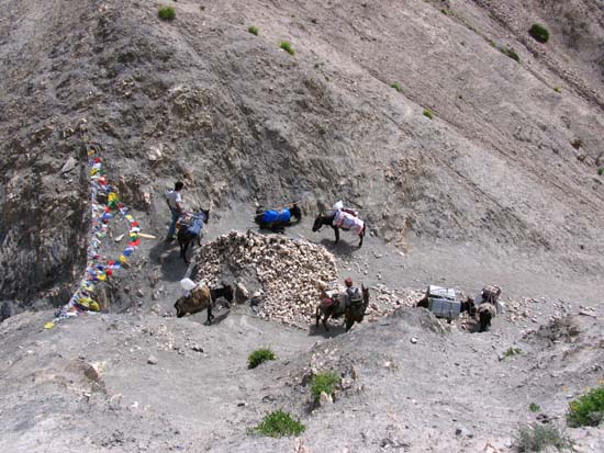 Ladakh-183-Prinkiti