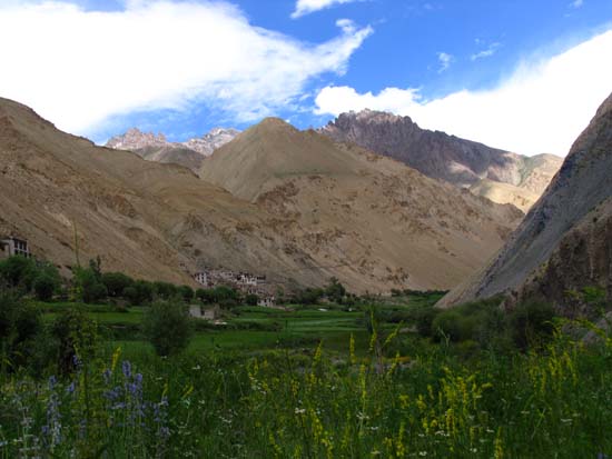 Ladakh-227