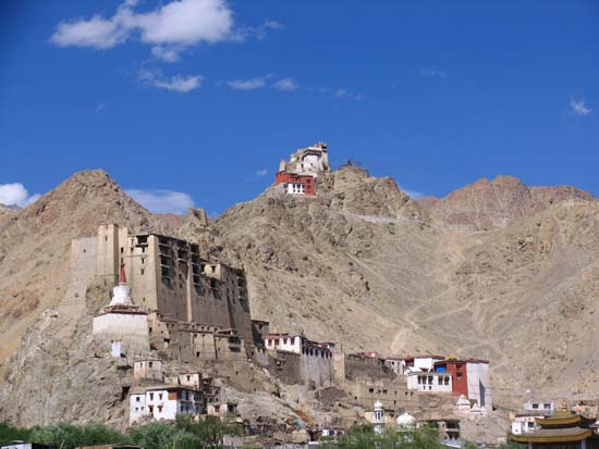 Ladakh-473-Leh