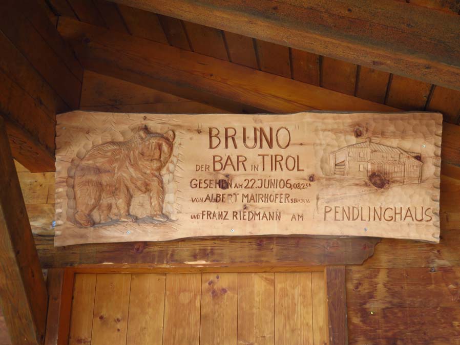 IMG_5352-Braunbaer-Bruno-pendling-mittagskopf