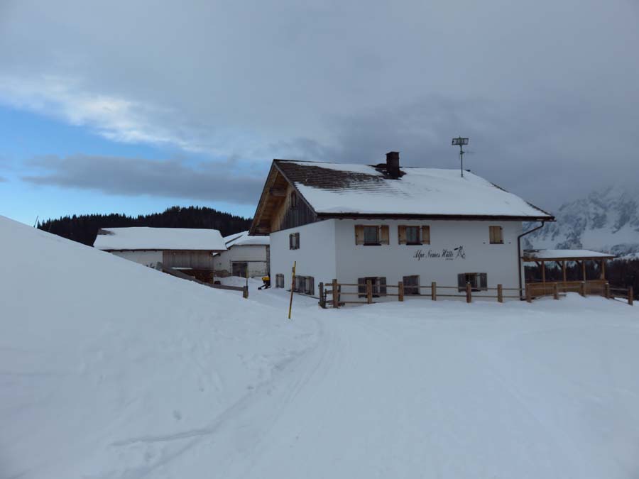 IMG_0410-Alpe-Nemes-Huette-Pfandleck-2.231m