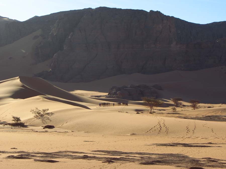 Sahara-Algerien-0348-Kamele