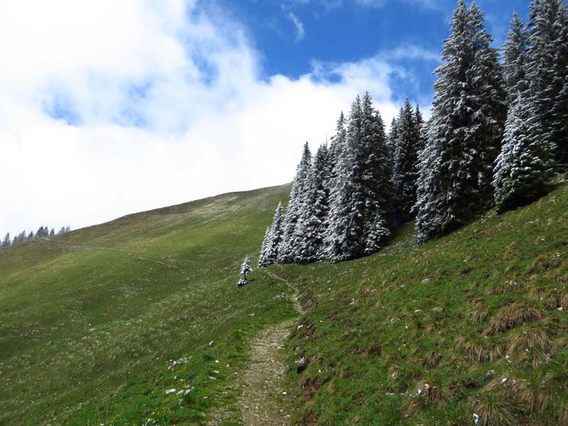 IMG_0027-Schoenberg-Hochplatte