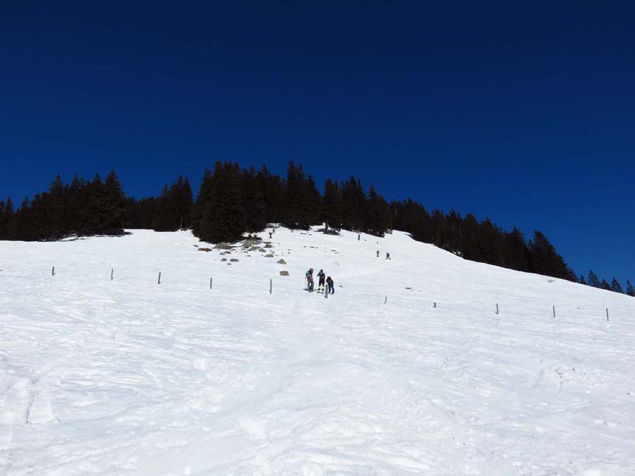 IMG_0288-Zum-Gipfel-Wald-Skitour-Spitzstein