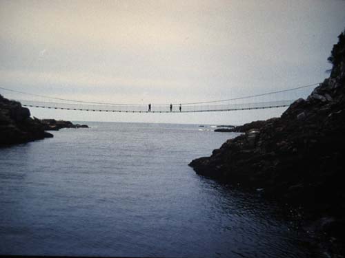 126_2660