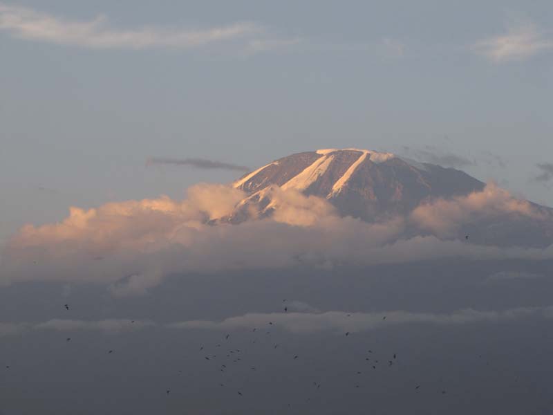 Tansania-0345-Kilimanjaro