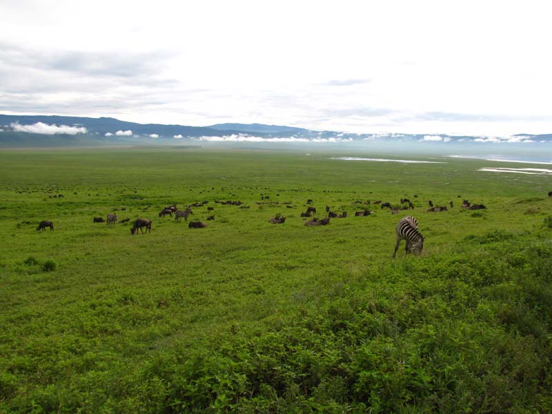 Tansania-0737-Ngorongoro-Krater