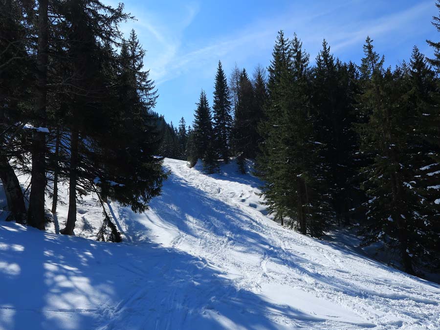 IMG_2400-Wald-Durchschlupf-taubenstein-schneeschuh