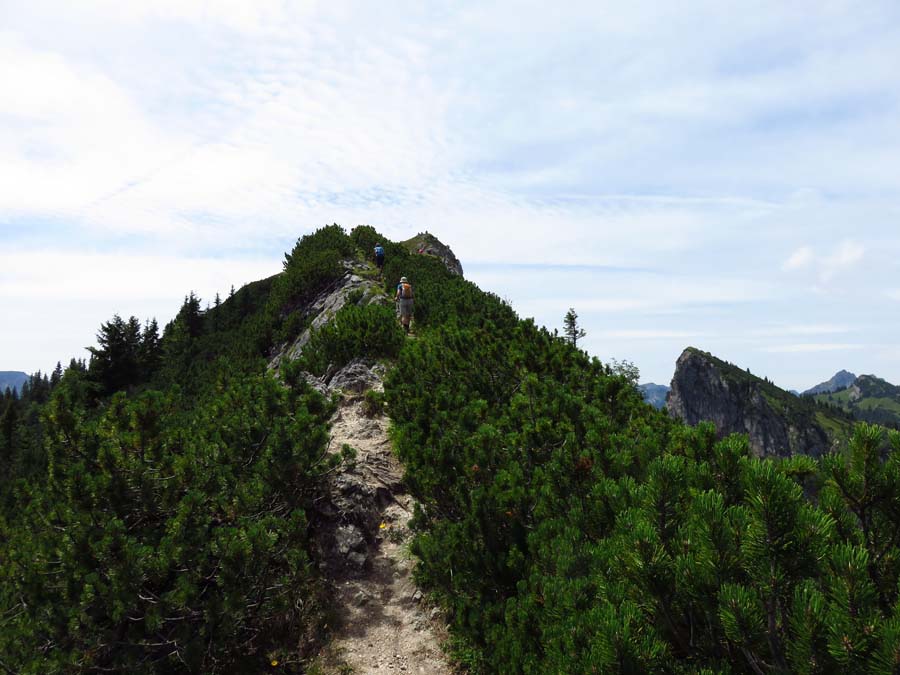 IMG_1026-Gipfelgrat-Teufelstaettkopf